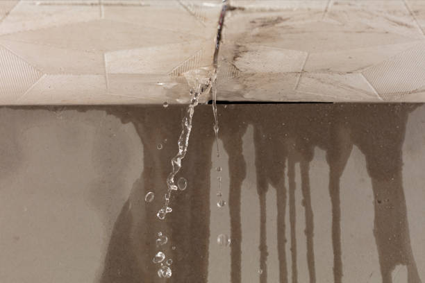 Professional Water Extraction technician working in Montrose, VA
